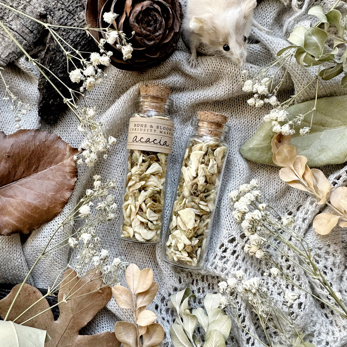 Dried Acacia Flowers in Glass Vial