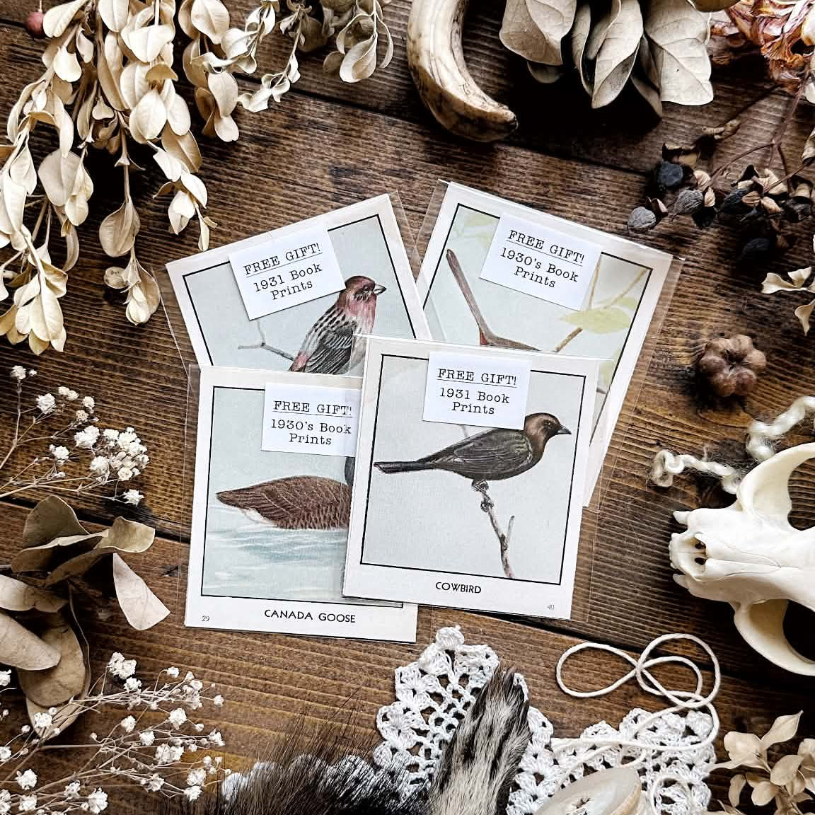 Free Gift – Vintage 1930's Book Prints (Orders over $10+)
