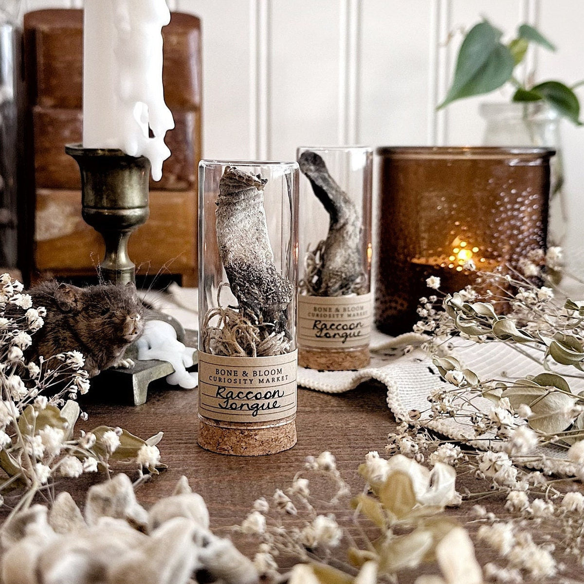 One Real Mummified Raccoon Tongue in Glass Vial β No. 04