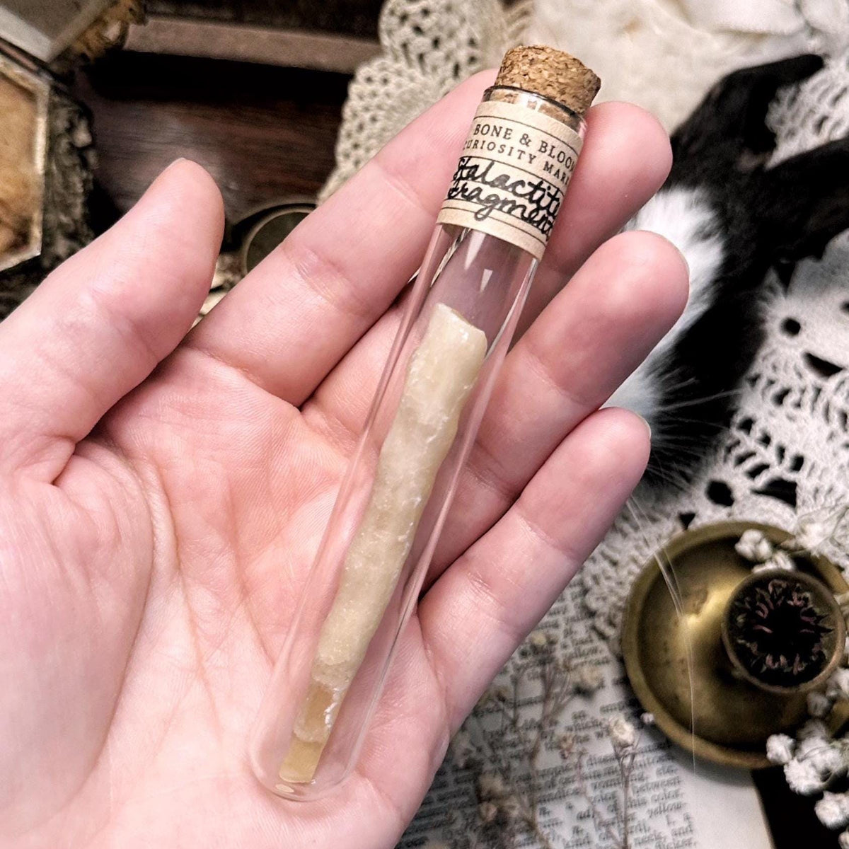 Petite Stalactite Fragment in Glass Vial β No. 01