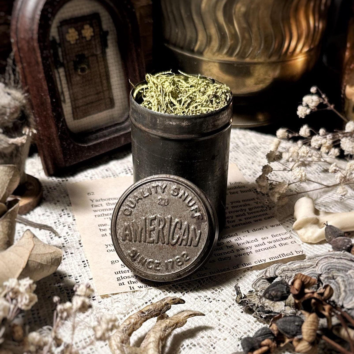 Vintage Rusty Snuff Tin, Dried Lichen – No. 07