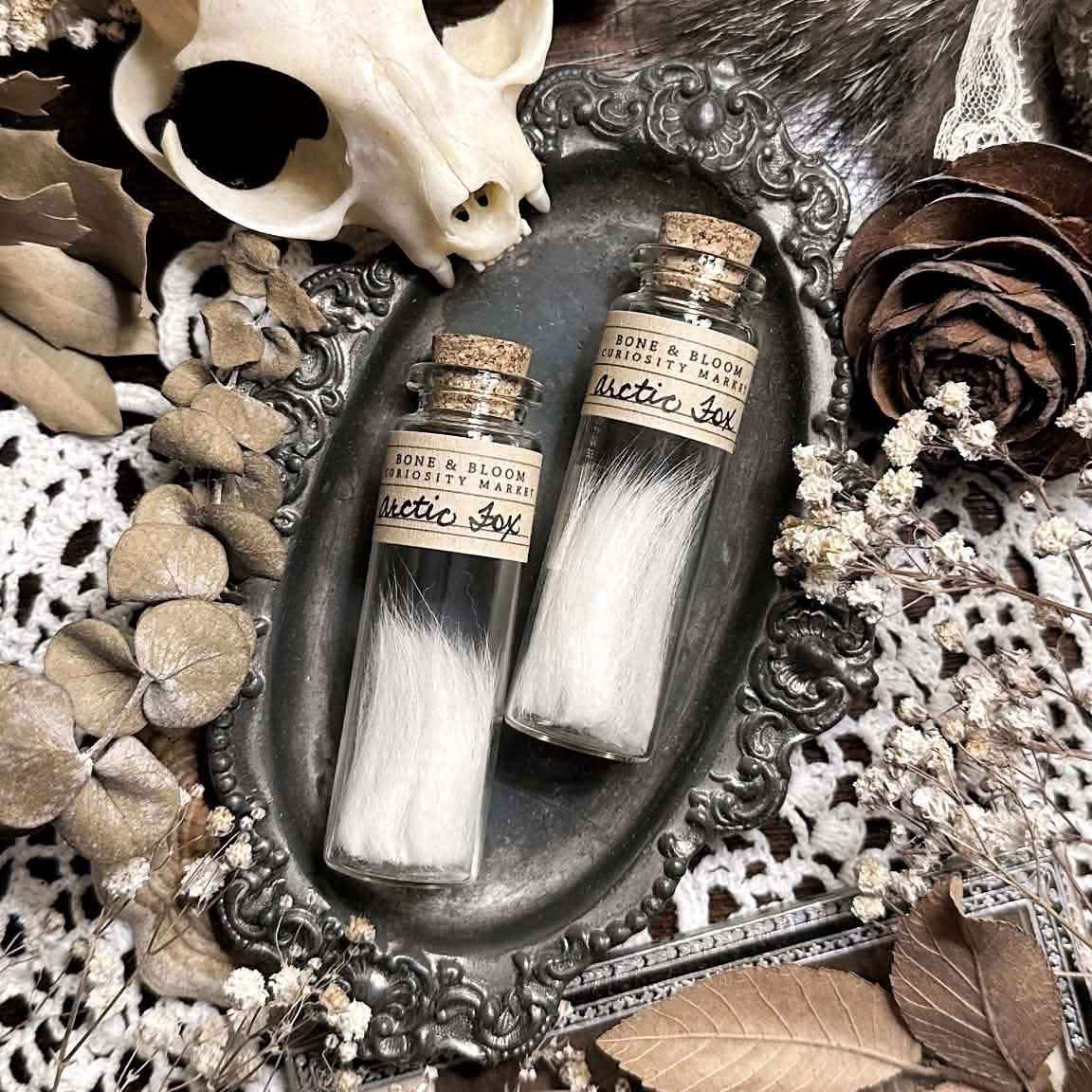 Real Arctic Fox Fur in Glass Vial