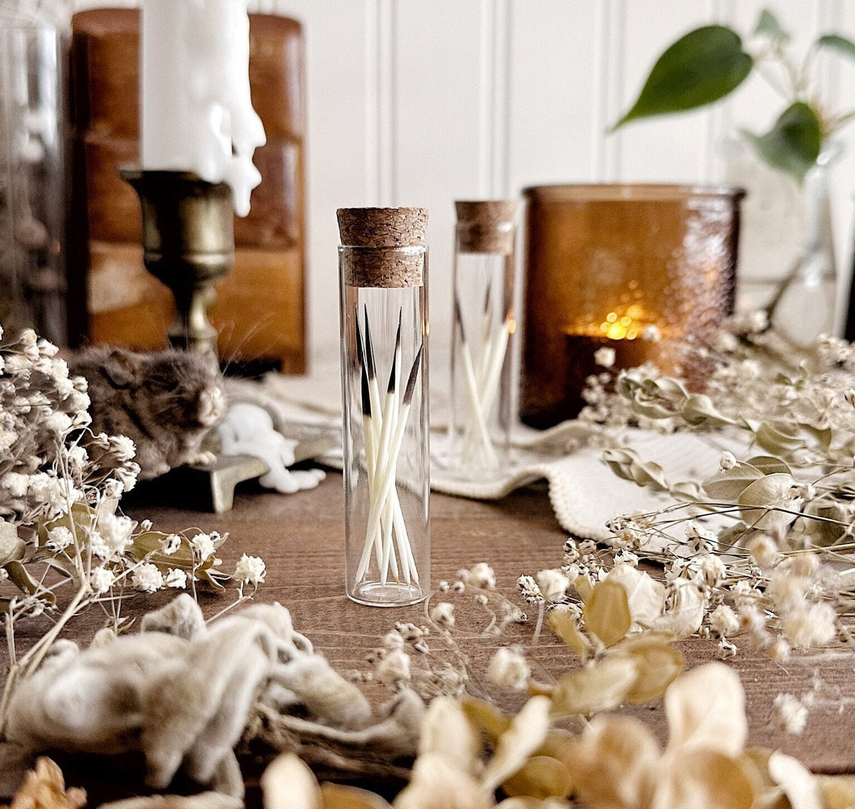 Real Porcupine Quills in Glass Vial