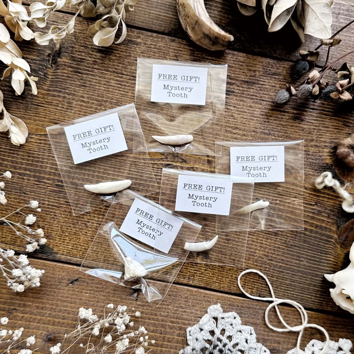 Free Gift – Mystery Tooth