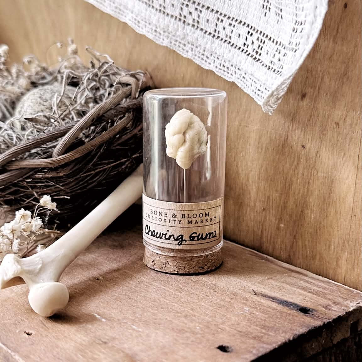 Chewed Gum Specimen in Glass Vial β No. 02