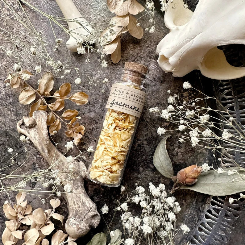 Dried Jasmine Flower Petals in Glass Vial – No. 02