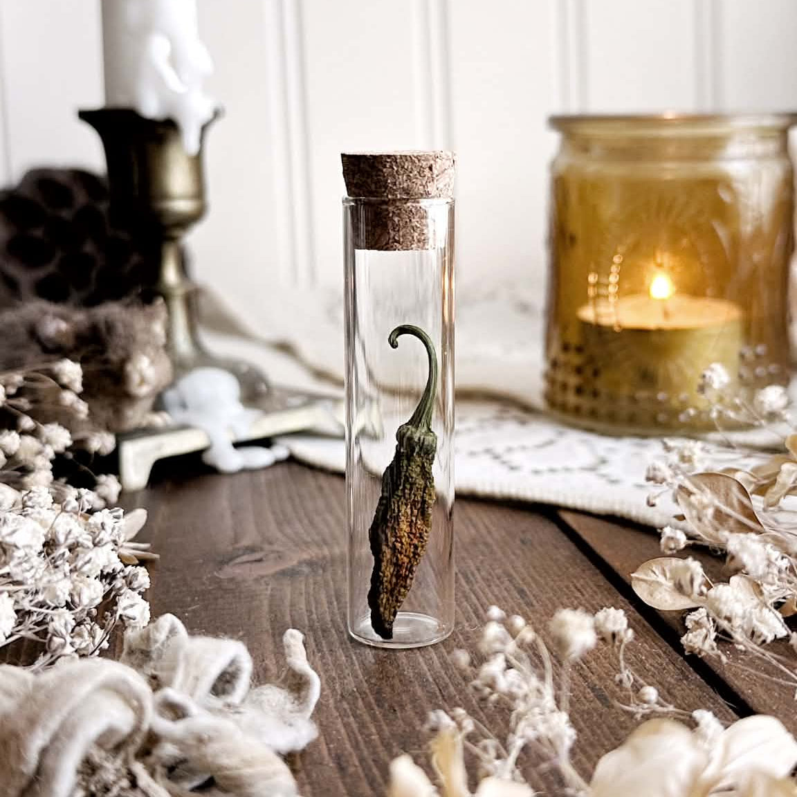 Petite Dried Pepper in Glass Vial – No. 02