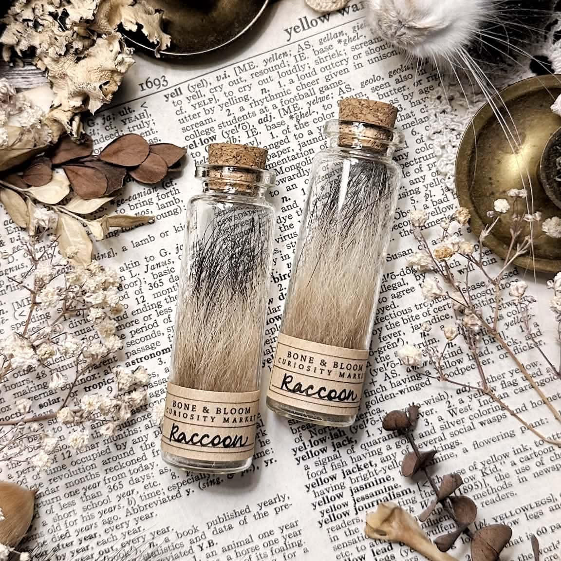 Real Raccoon Fur in Glass Vial
