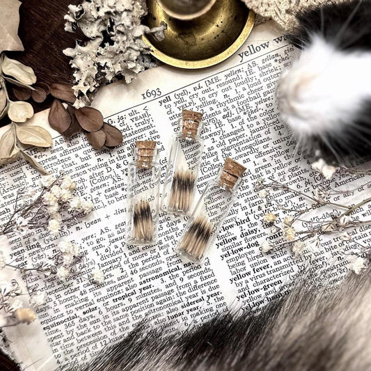 Real Tiny Hedgehog Quills in Glass Vial