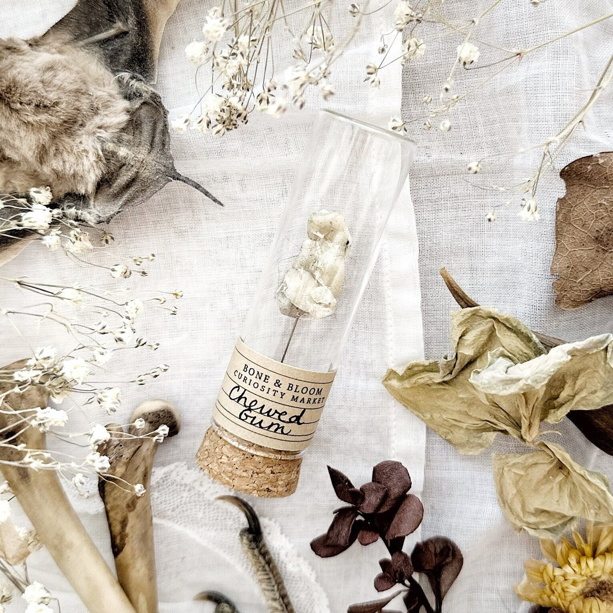 Chewed Gum Specimen in Glass Vial – No. 01