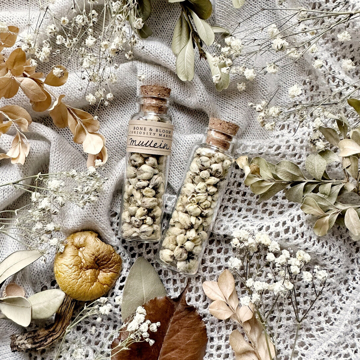 Dried Mullein Blossoms in Glass Vial