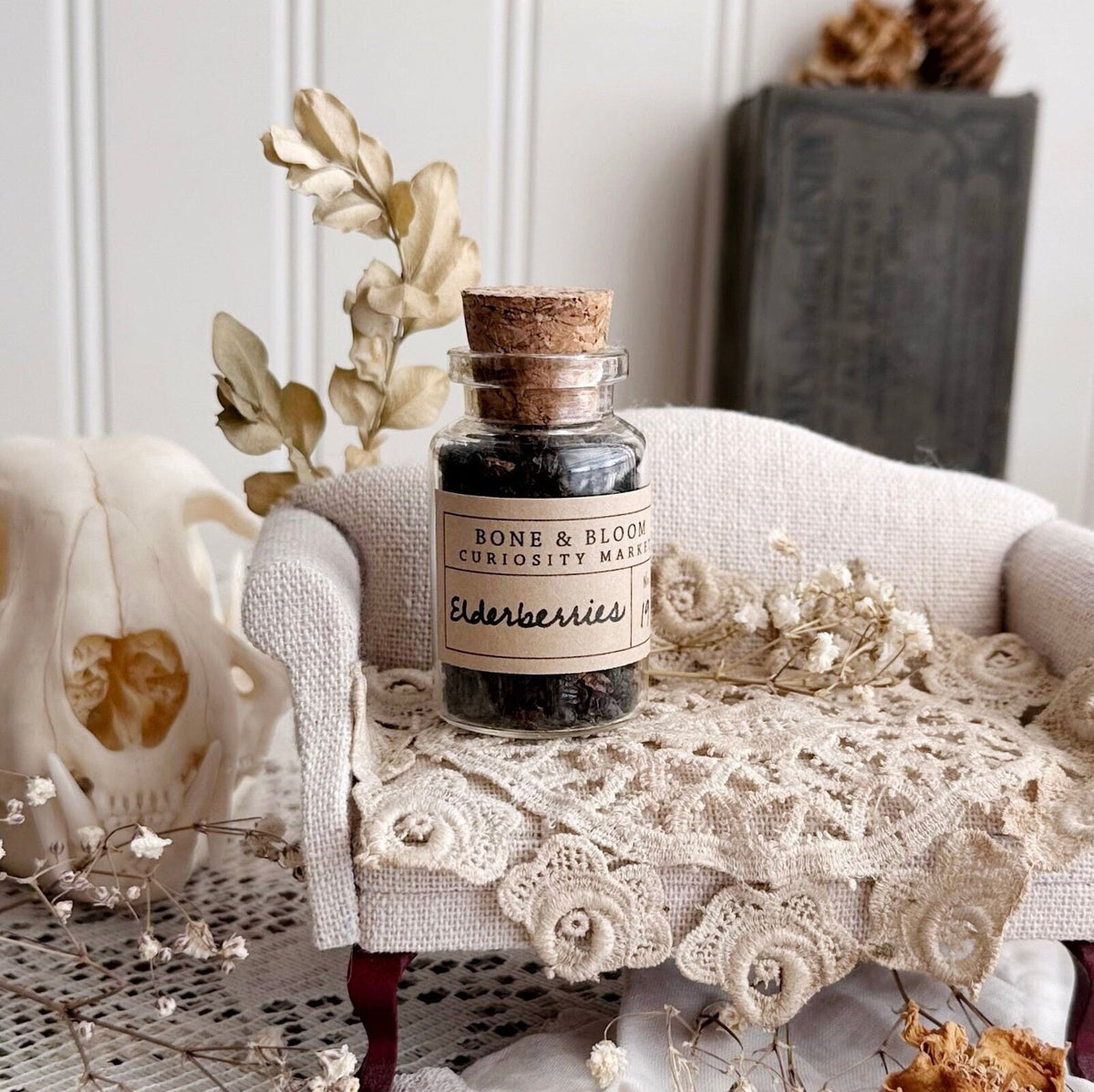 Dried Elderberries in Glass Vial – No. 19