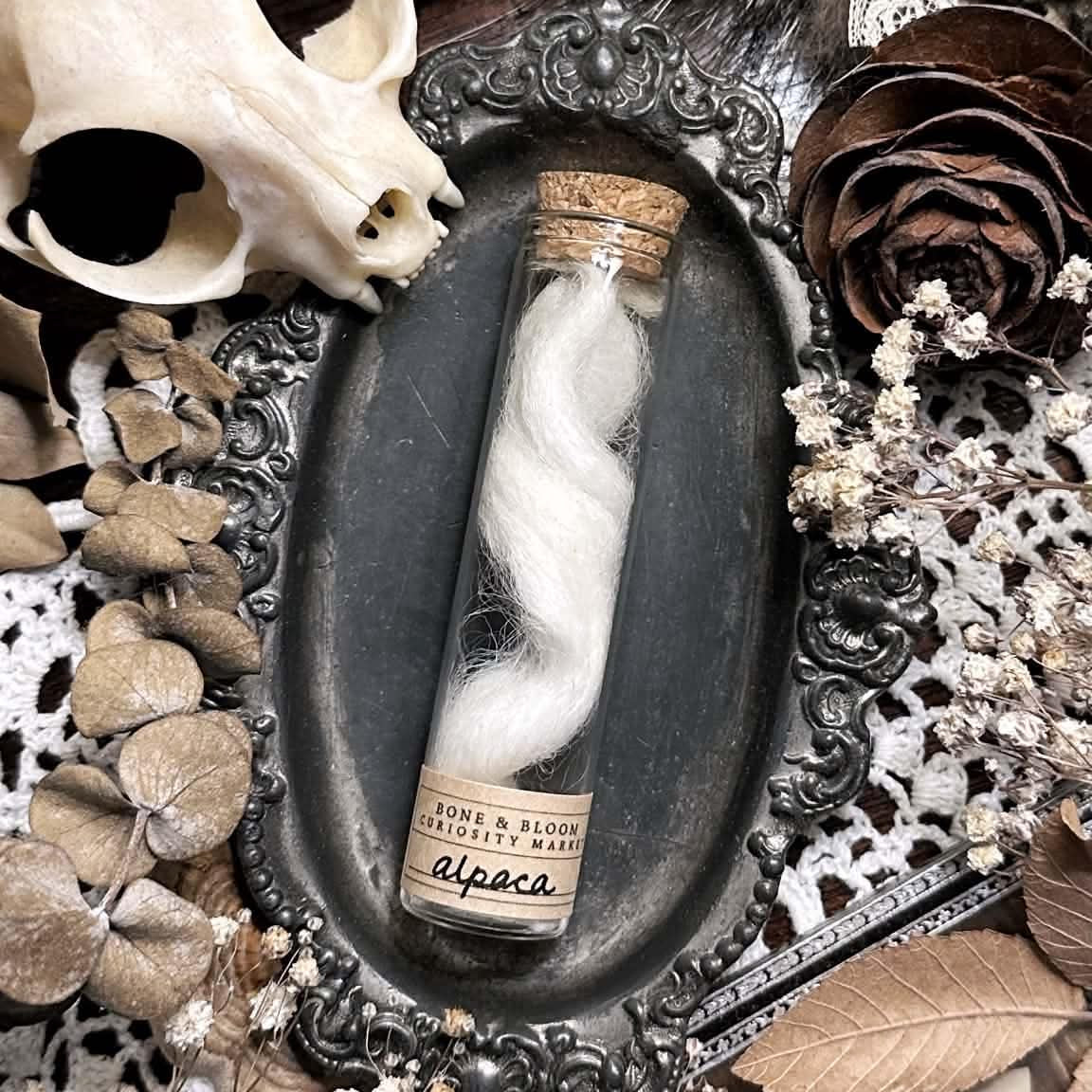 Real White Alpaca Fleece in Glass Vial