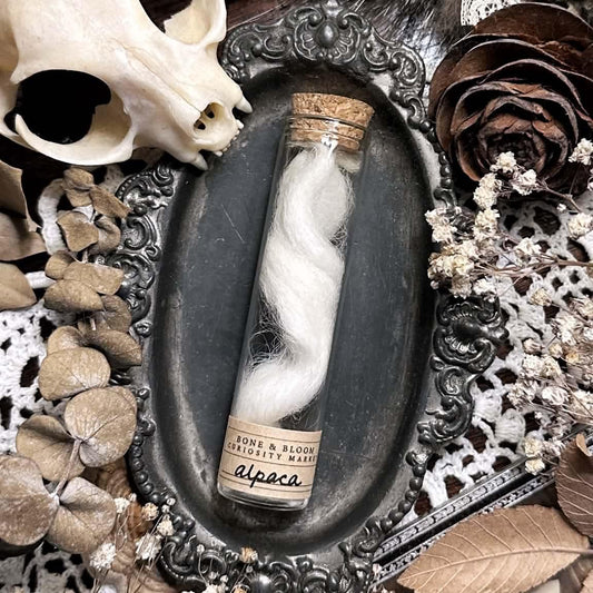 Real White Alpaca Fleece in Glass Vial