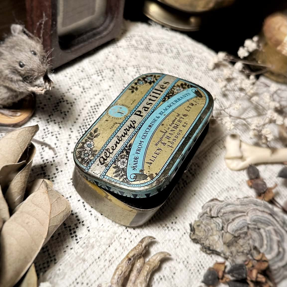 Real Fruit Bat Skull in Vintage Metal Pastilles Tin – No. 02