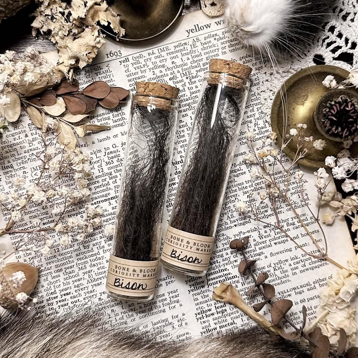 Real Bison Hair in Glass Vial – No. 01