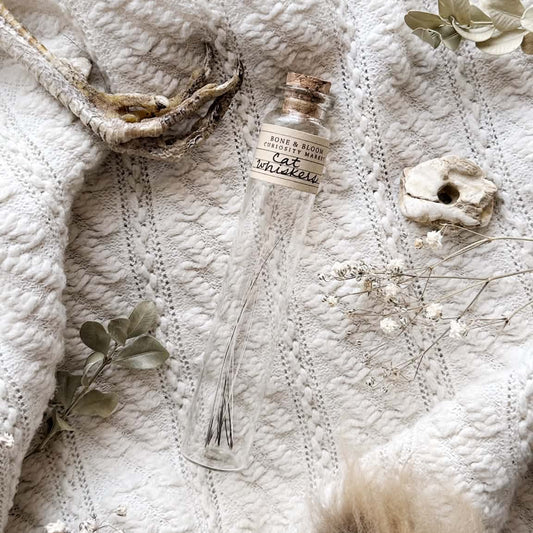 Real Cat Whiskers in Glass Vial – No. 02