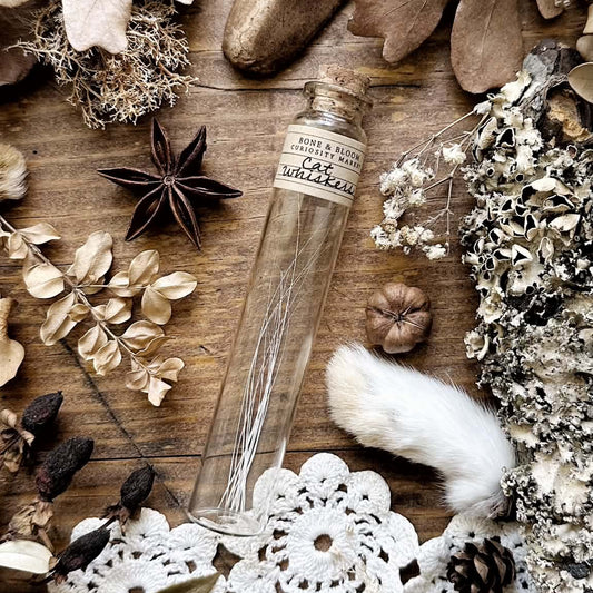 Real White Cat Whiskers in Glass Vial – No. 03