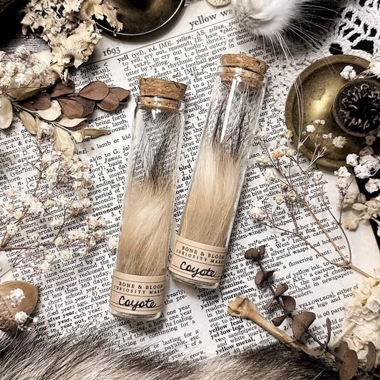 Real Coyote Fur in Glass Vial