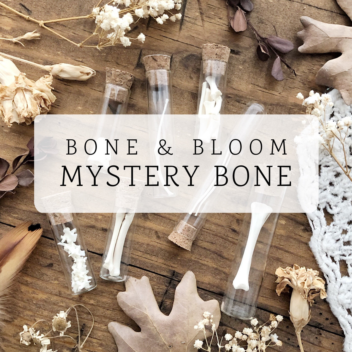 Real Mystery Bone Specimen in Glass Vial