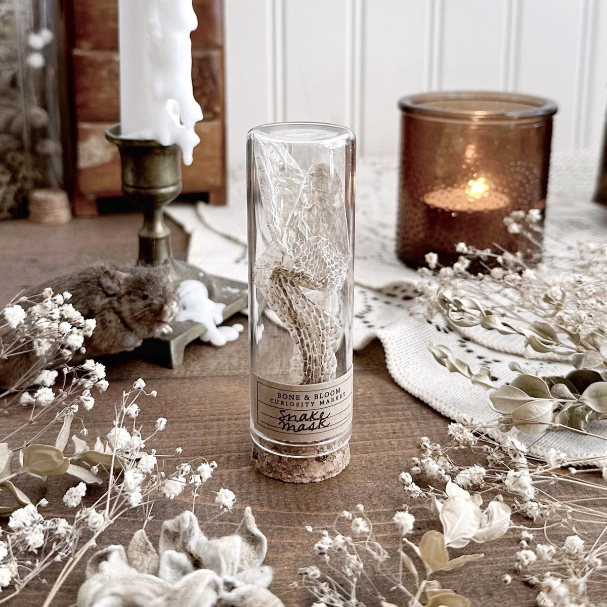 Snake Mask in Glass Vial – No. 01