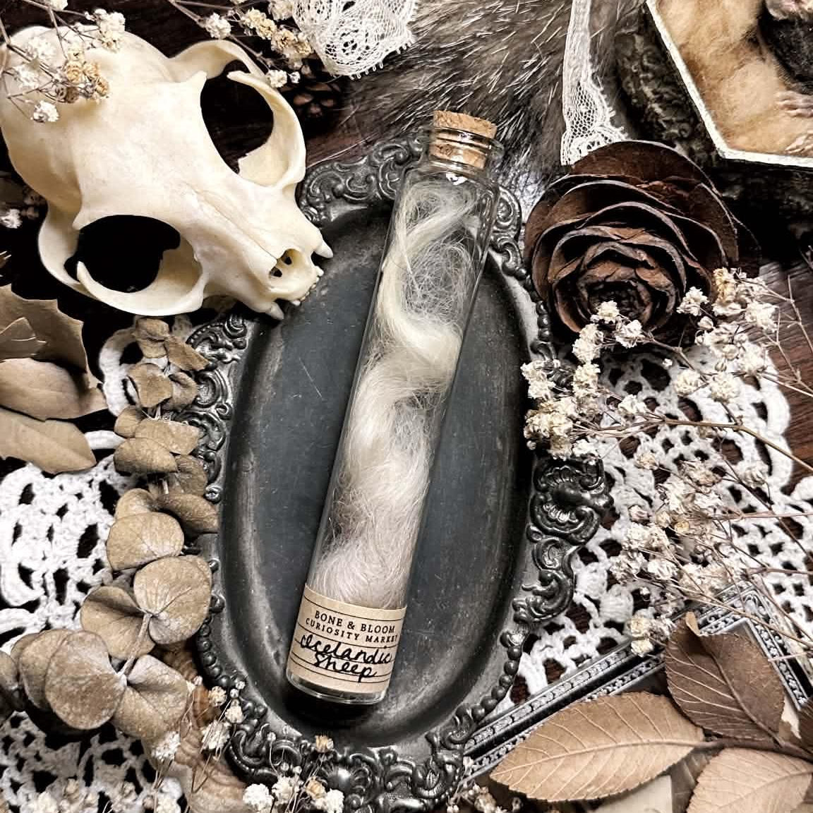 Real Icelandic Sheep Wool in Glass Vial
