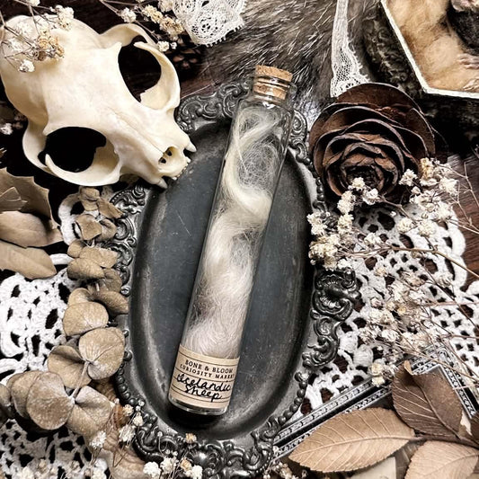 Real Icelandic Sheep Wool in Glass Vial
