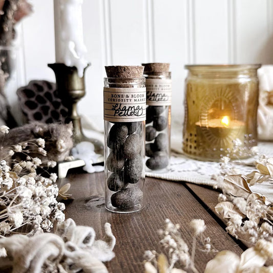 Real Dried Llama Pellets in Glass Vial