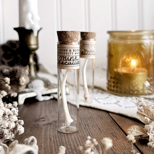 One Real Mink Baculum Bone in Glass Vial – No. 01
