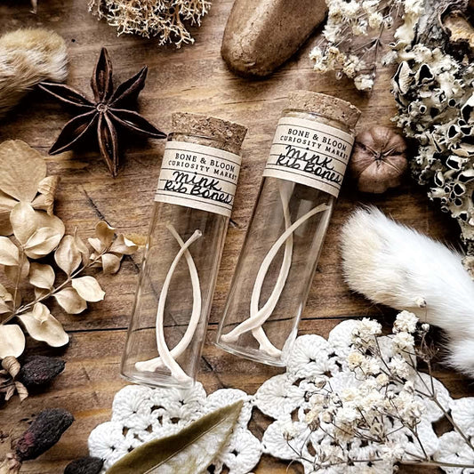 Real Mink Rib Bones in Glass Vial – No. 02