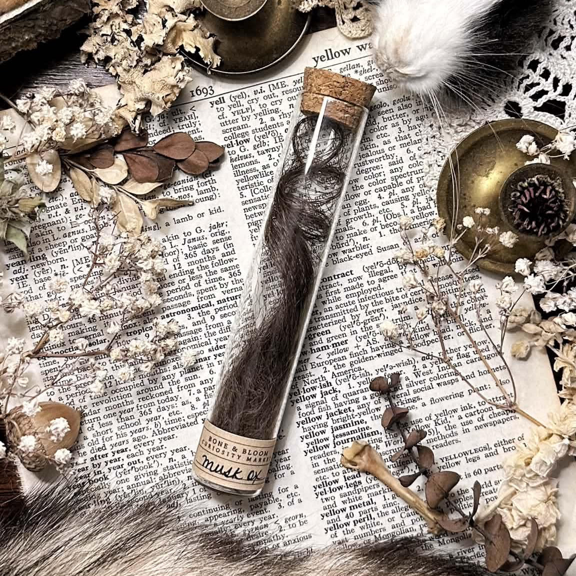 Real Musk Ox Fur in Glass Vial