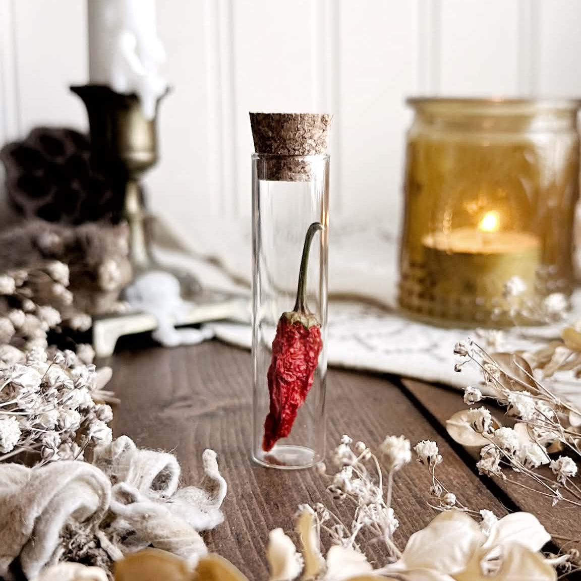 Petite Dried Red Pepper in Glass Vial – No. 01