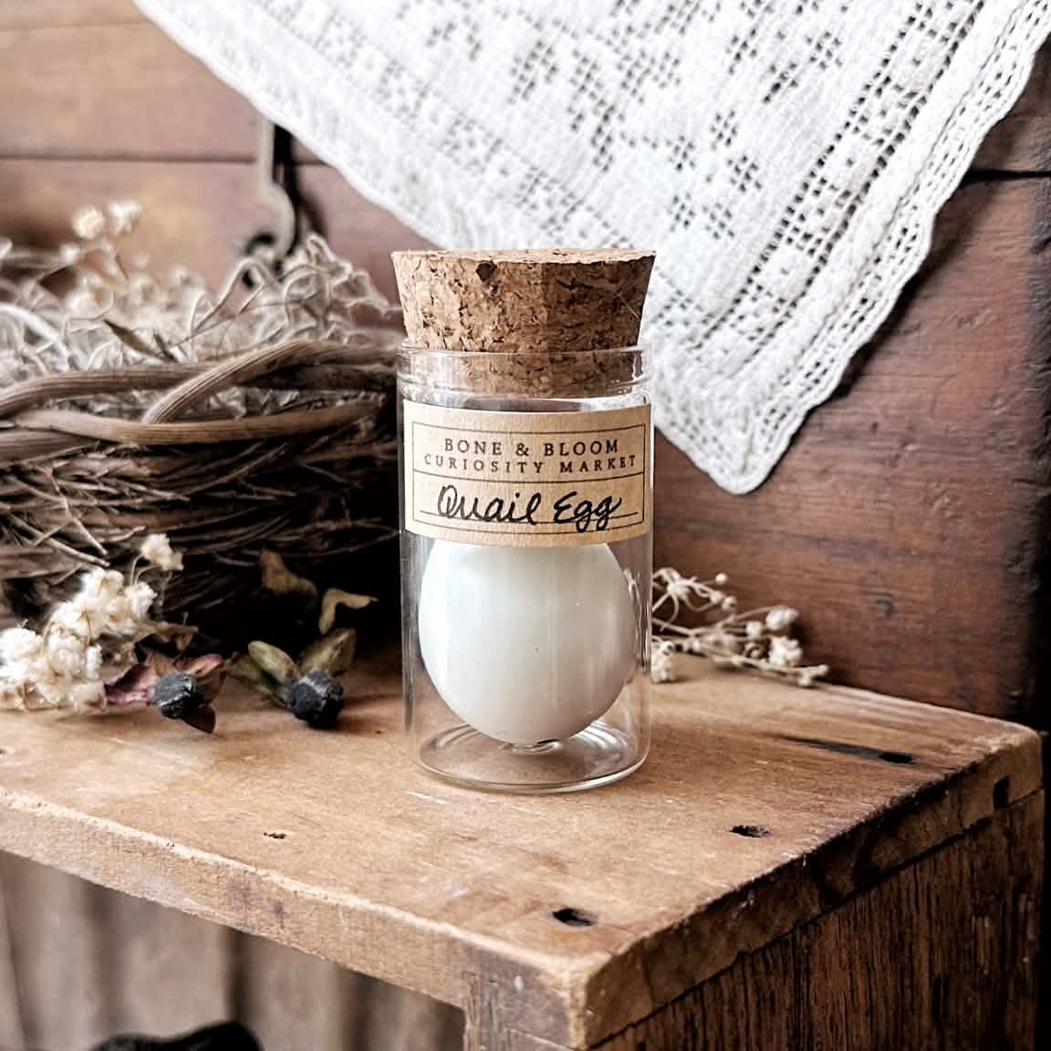 Real Blue Quail Egg in Glass Vial