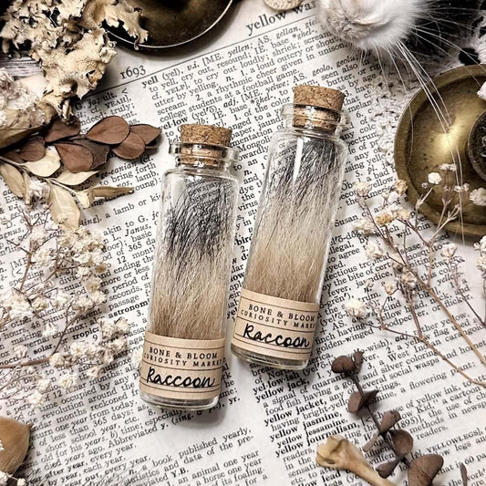 Real Raccoon Fur in Glass Vial