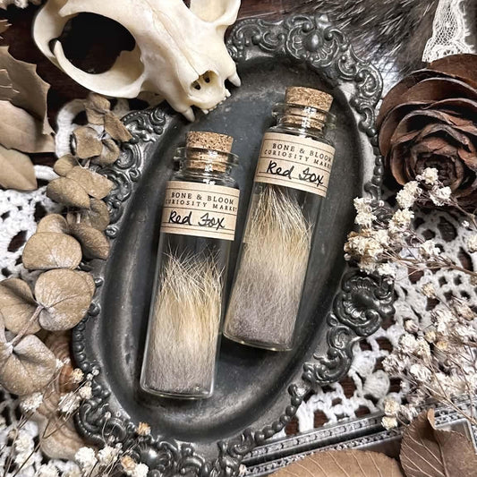 Real Red Fox Fur in Glass Vial