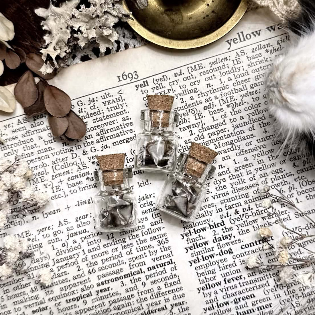 Real Tiny Rhino Iguana Spikes in Tiny Glass Vial