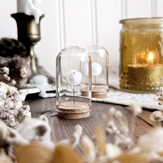 One Real Tiny Sand Dollar in Glass Dome – No. 01