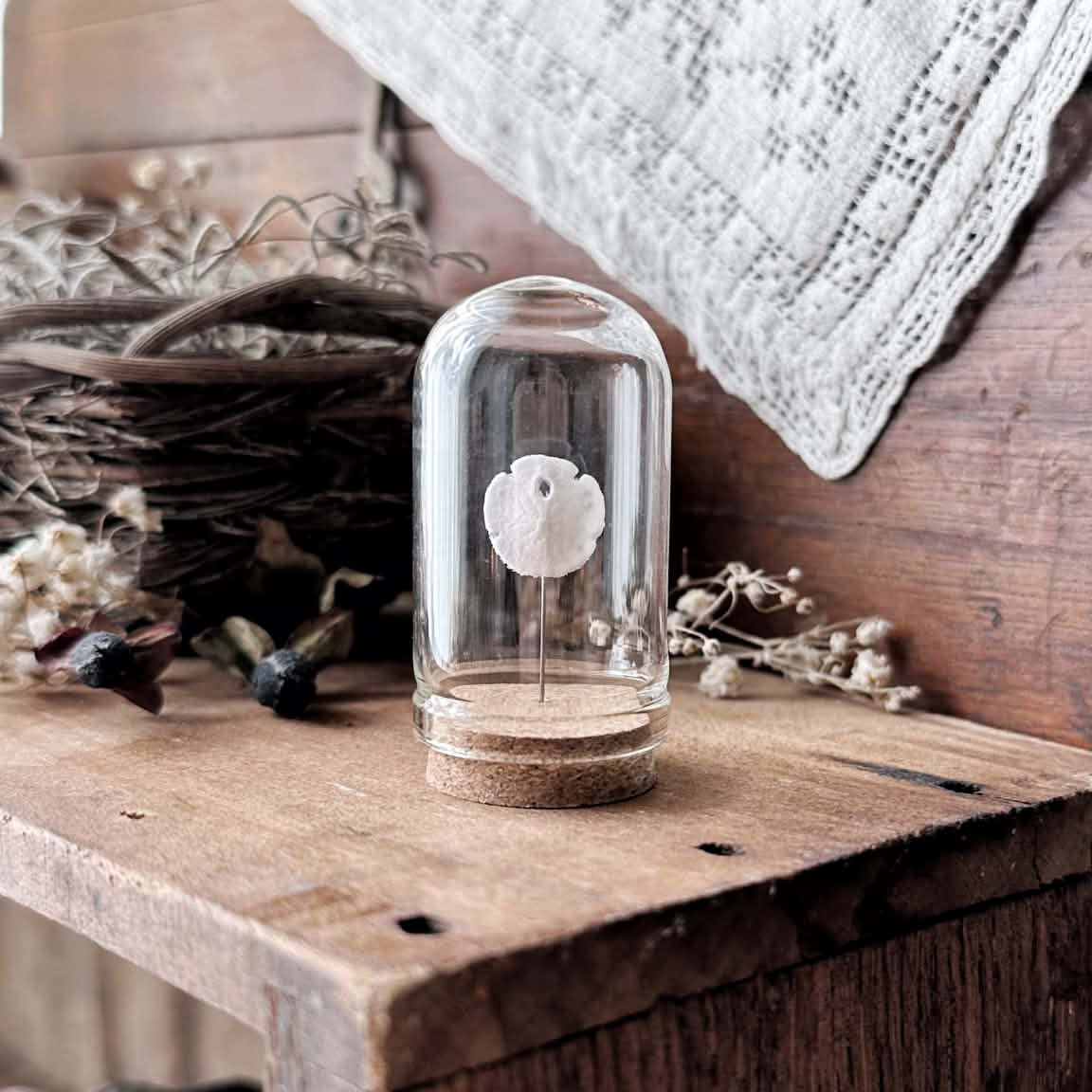 One Real Tiny Sand Dollar in Glass Dome – No. 01