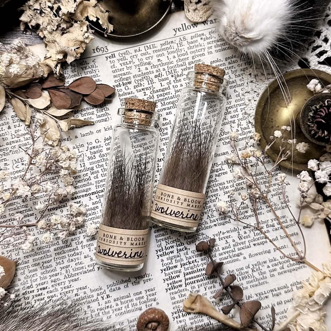 Real Wolverine Fur in Glass Vial